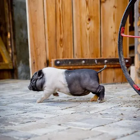 Bauernhof Liendl Keutschach am See