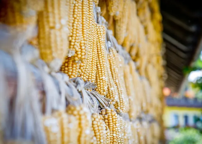 Bauernhof Liendl * Keutschach am See