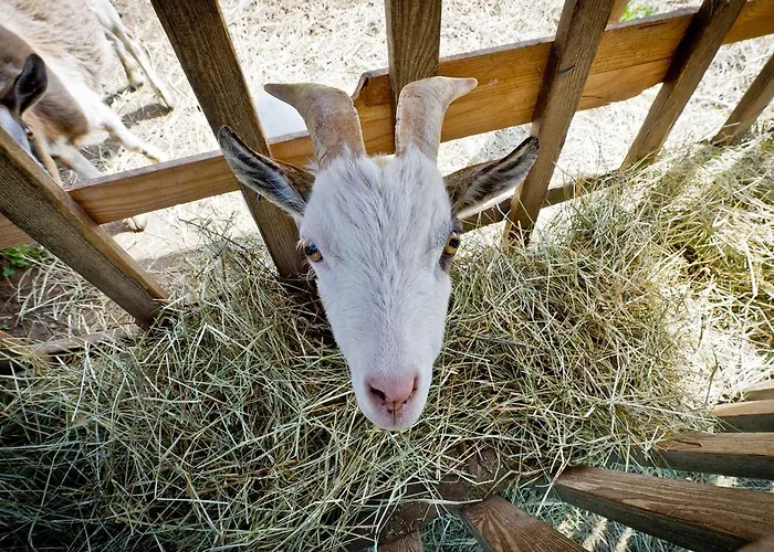 Bauernhof Liendl Séjour à la ferme Keutschach am See